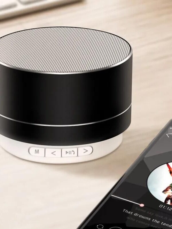 Bear Compact Wireless Bass Speaker